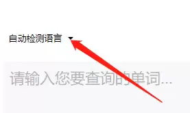 有道词典如何指定检测语言