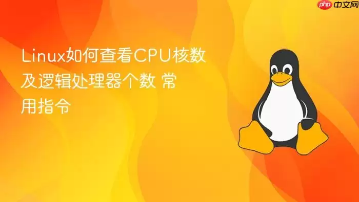Linux如何查看CPU核数及逻辑处理器个数 常用指令