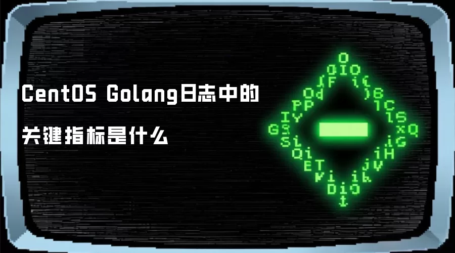 CentOS Golang日志中的关键指标是什么