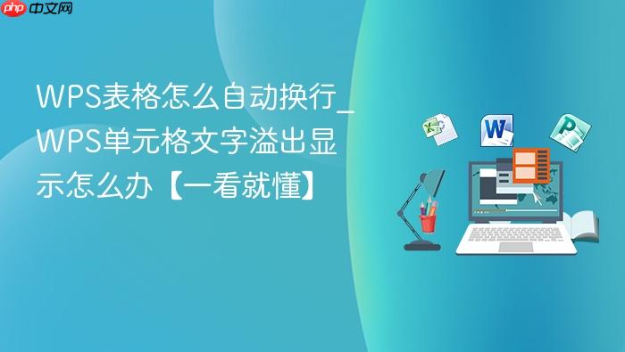 WPS表格怎么自动换行_WPS单元格文字溢出显示怎么办【一看就懂】
