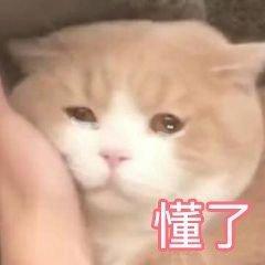 db2ddd1fc056894d8172a523ac0a20b3.png