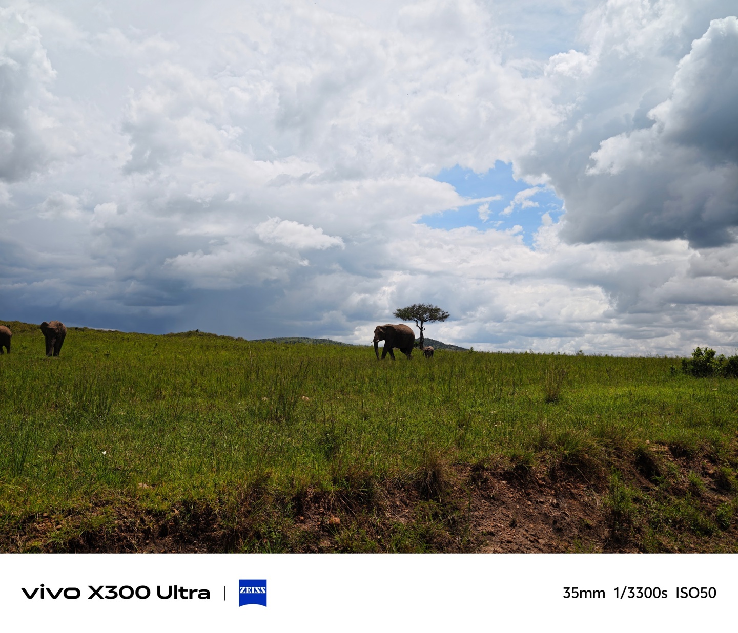 vivo X300 Ultra 手机直出无修原图样张公开，展示 3 个焦段点位 2 亿超高像素画面