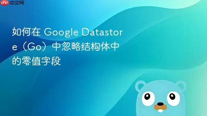 如何在 Google Datastore(Go)中忽略结构体中的零值字段