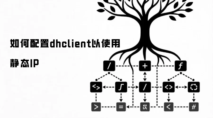 如何配置dhclient以使用静态IP
