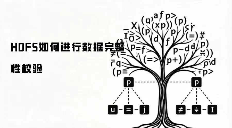HDFS如何进行数据完整性校验