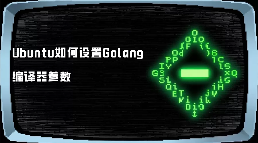 Ubuntu如何设置Golang编译器参数