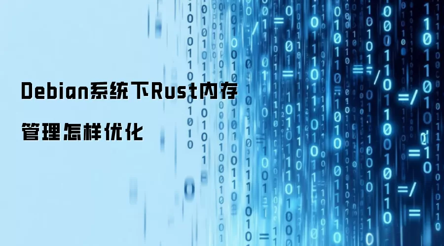 Debian系统下Rust内存管理怎样优化