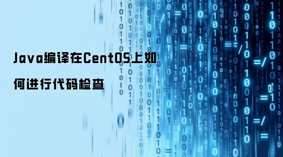 Java编译在CentOS上如何进行代码检查