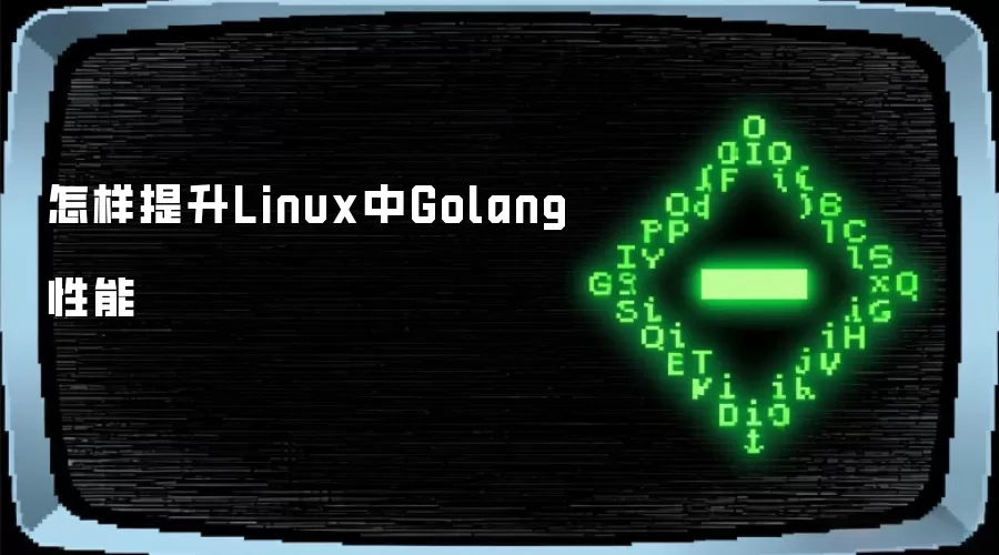 怎样提升Linux中Golang性能