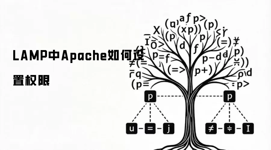 LAMP中Apache如何设置权限