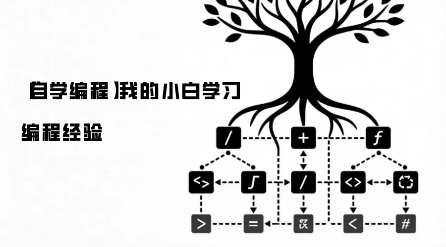 【自学编程】我的小白学习编程经验