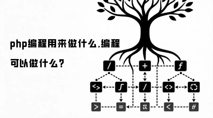 php编程用来做什么,编程可以做什么?