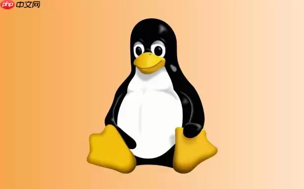 Linux怎么查看磁盘空间占用 Linux常用df和du指令详解