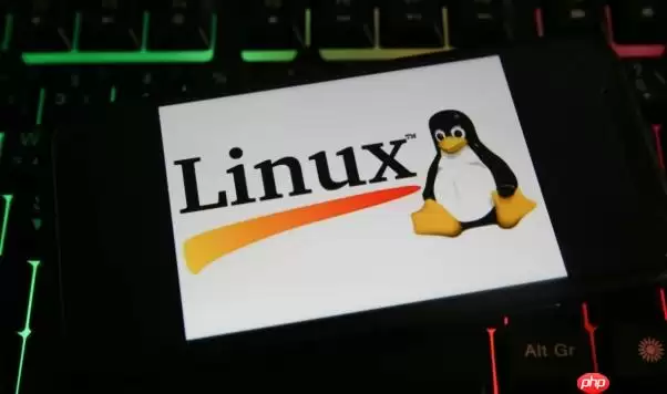 Linux怎么查看内核编译选项 Linux下/proc/config.gz读取详解