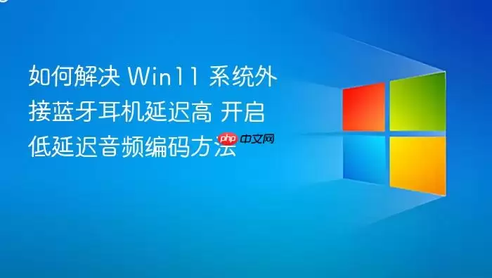 如何解决 Win11 系统外接蓝牙耳机延迟高 开启低延迟音频编码方法