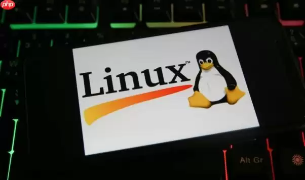 Linux怎么安装VSCode Linux环境下代码编辑器配置详解
