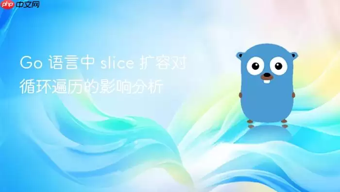 Go 语言中 slice 扩容对循环遍历的影响分析