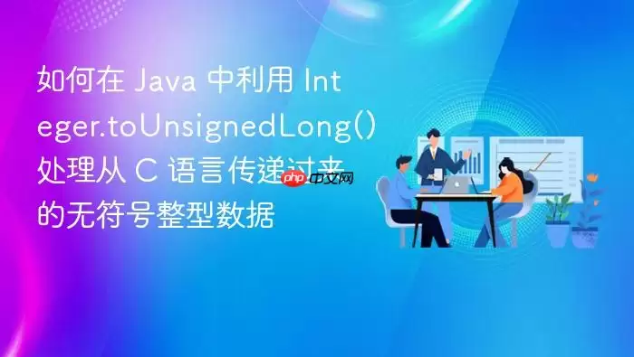 如何在 Java 中利用 Integer.toUnsignedLong() 处理从 C 语言传递过来的无符号整型数据
