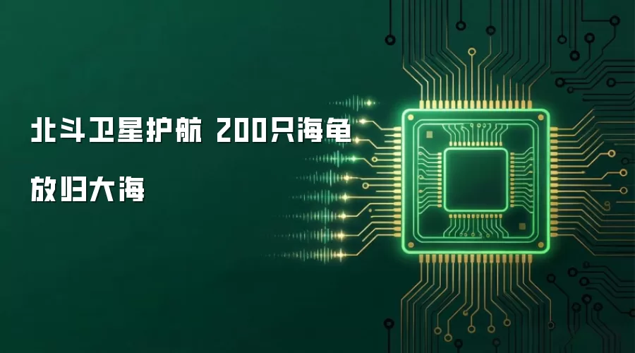 北斗卫星护航 200只海龟放归大海