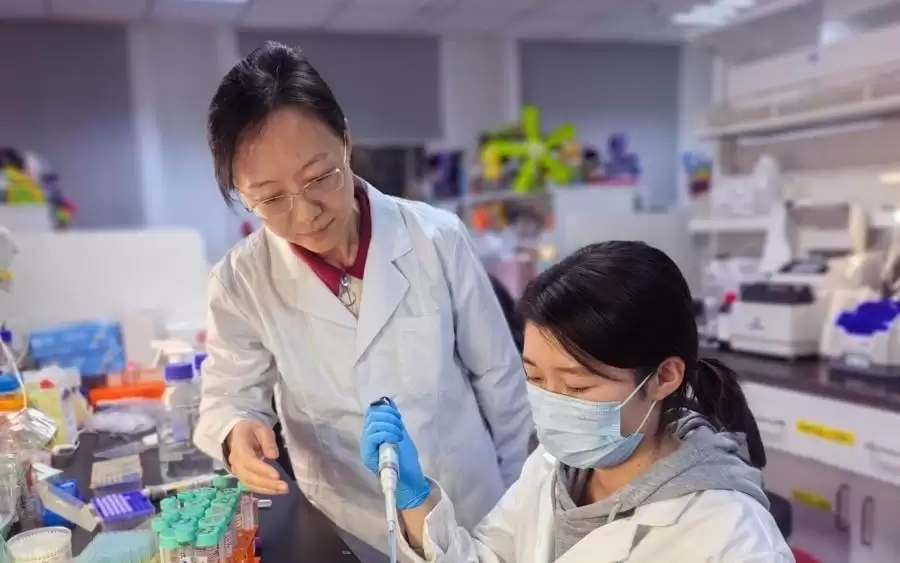 在脑脊液找到神经退行性疾病分型密码,上海交大团队成果登《细胞》