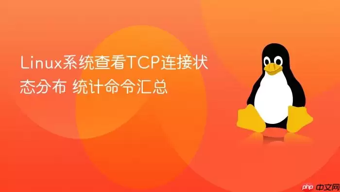 Linux系统查看TCP连接状态分布 统计命令汇总