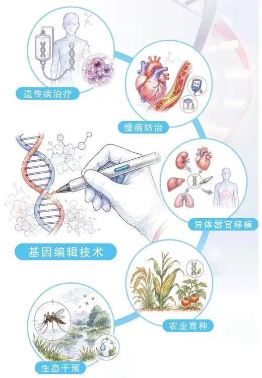 基因编辑,迈向精准医疗新阶段(国际科技前沿)