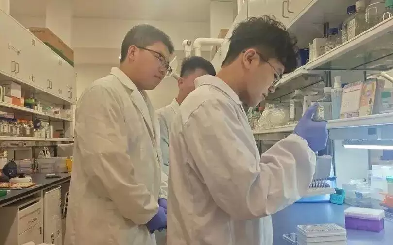百团百项|破界共融、智算赋能 ,上海交叉研究团队探索重建病毒入侵关键动态过程