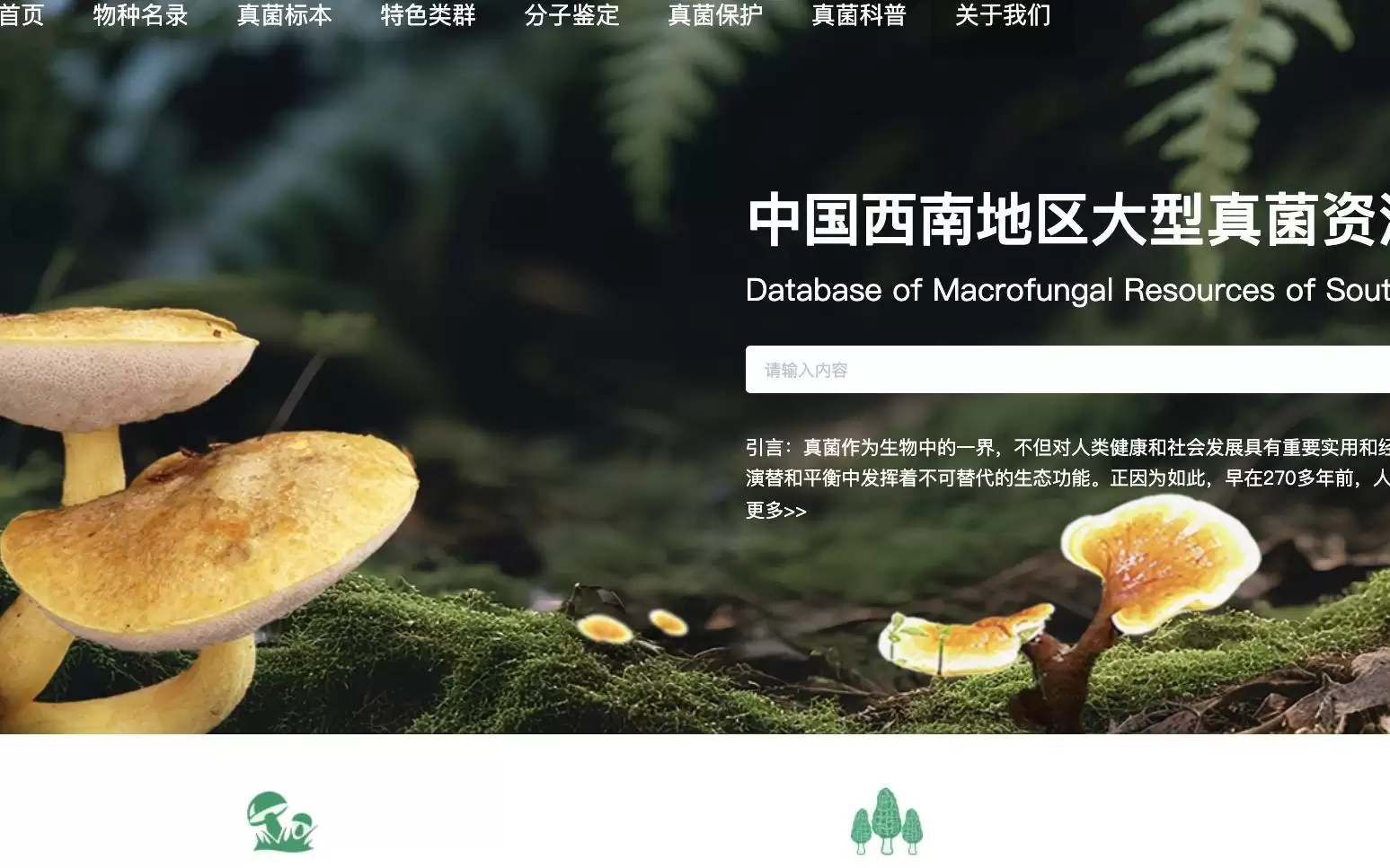 中国科学院上线“真菌王国”数据库,野外捡小菌子能“按图识别”?官方回应:别把它当“防中毒神器”