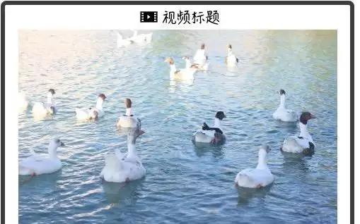 别急着担心失业，人形机器人距离全面