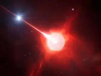 6月4日外媒科学网站摘要：银河系重复电波来源锁定，白矮星吃伴星