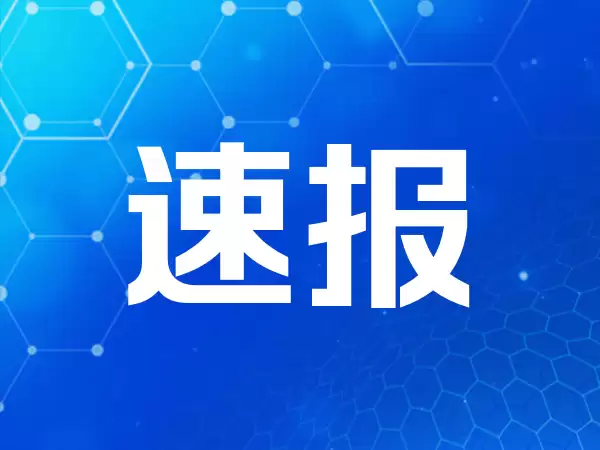 跑赢英伟达！“七骑士”靠AI逆袭，年内股价狂飙170%
