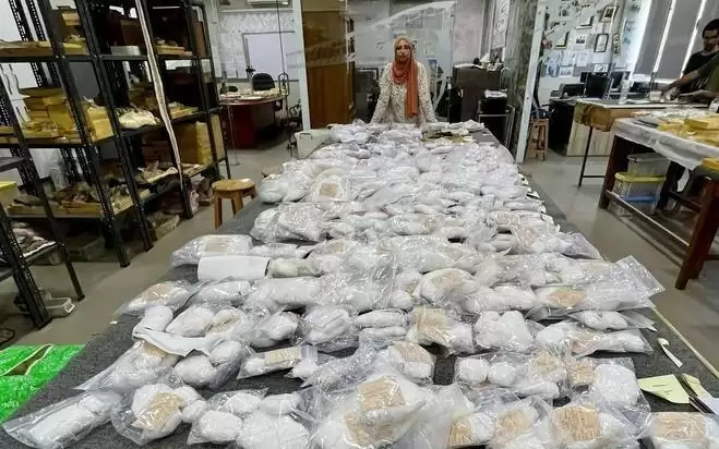 6220万年前鱼类化石填补进化关键证据