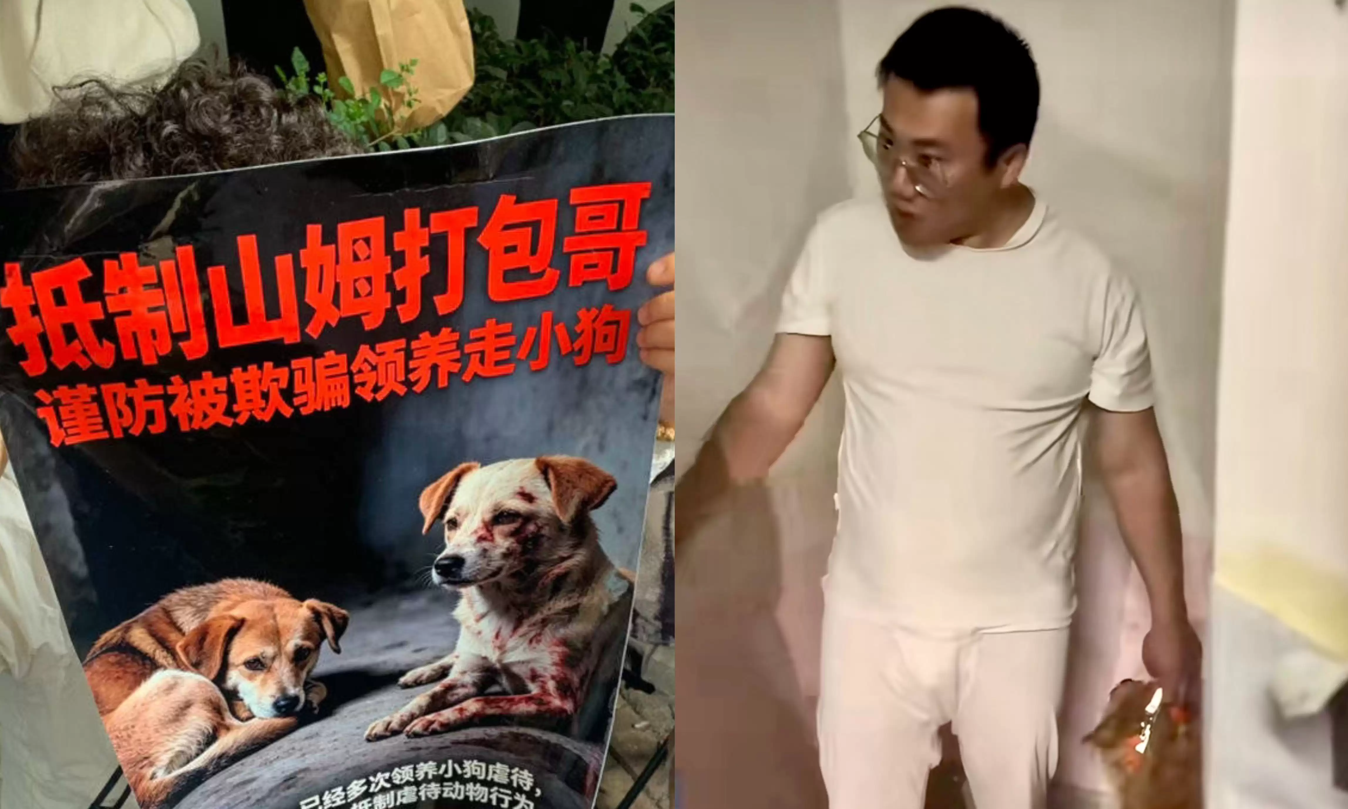山姆“打包哥”彻底凉凉!虐宠恶行曝光,网友怒骂三天三夜