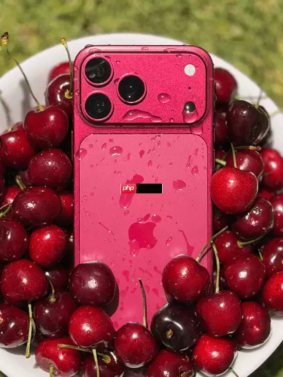 iPhone 18 Pro Max机模照曝光:主打深樱桃色 浅蓝深灰在列