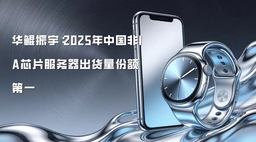 华鲲振宇：2025年中国非IA芯片服务器出货量份额第一
