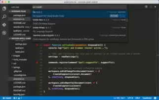 Visual-Studio-Code应用程序图标如何选择-Visual-Studio-Code应用程序图标选哪个好
