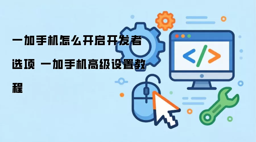 一加手机怎么开启开发者选项 一加手机高级设置教程