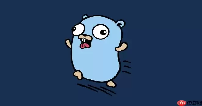 深入理解 Golang 框架中的反射机制应用