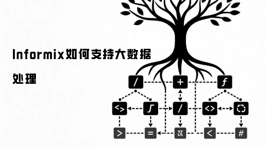 Informix如何支持大数据处理