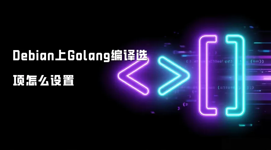 Debian上Golang编译选项怎么设置