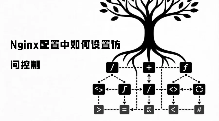 Nginx配置中如何设置访问控制