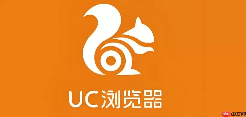 UC浏览器电脑版CPU占用率过高时该如何优化？