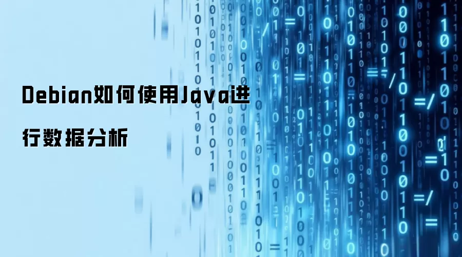 Debian如何使用Java进行数据分析