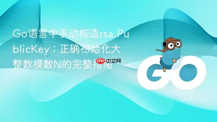 Go语言中手动构造rsa.PublicKey：正确初始化大整数模数N的完整指南