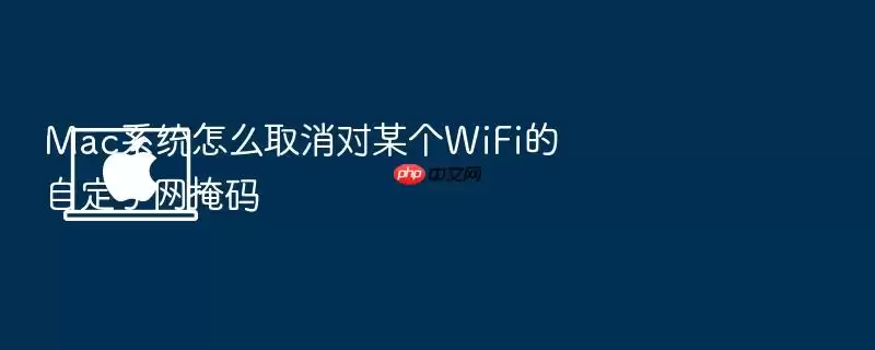 Mac系统怎么取消对某个WiFi的自定子网掩码
