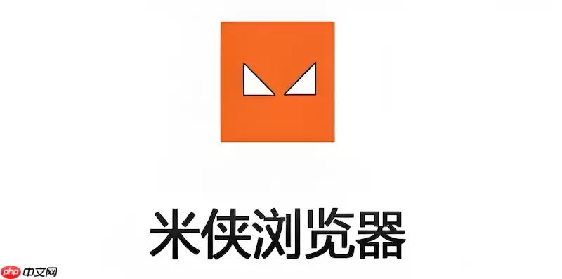 米侠浏览器如何设置在Wi-Fi环境下自动更新过滤规则？