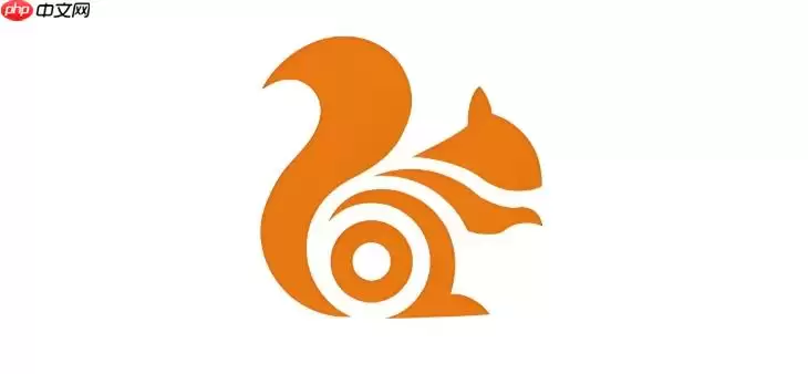 如何在UC浏览器移动端查看当前页面的源代码及HTML结构？