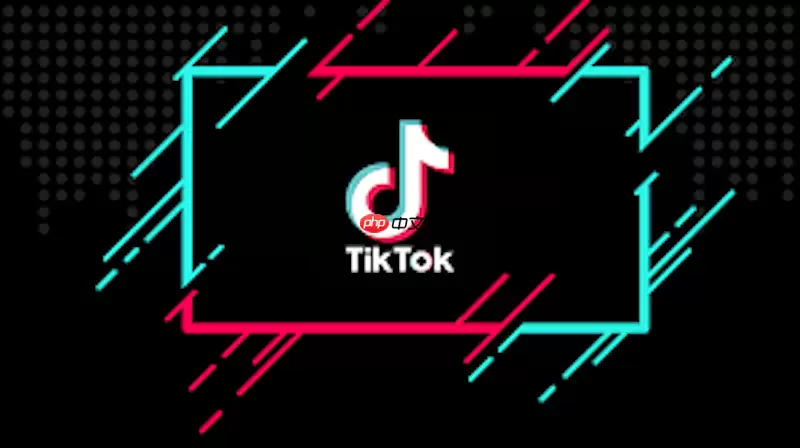 TikTok网页版登录入口解析 TikTok官网账号入口安全