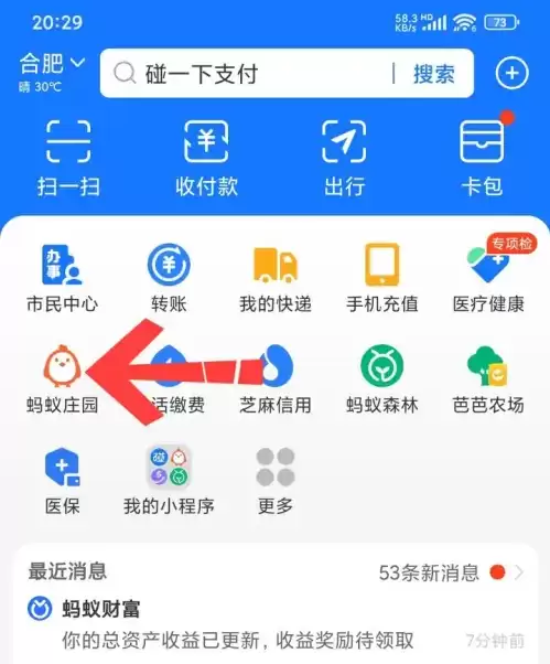 支付宝蚂蚁庄园小鸡名字怎么改 支付宝蚂蚁庄园小鸡名字修改方法
