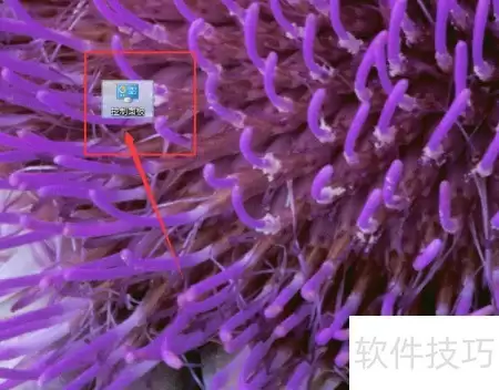 VsFlexGrid连接Adobe方法